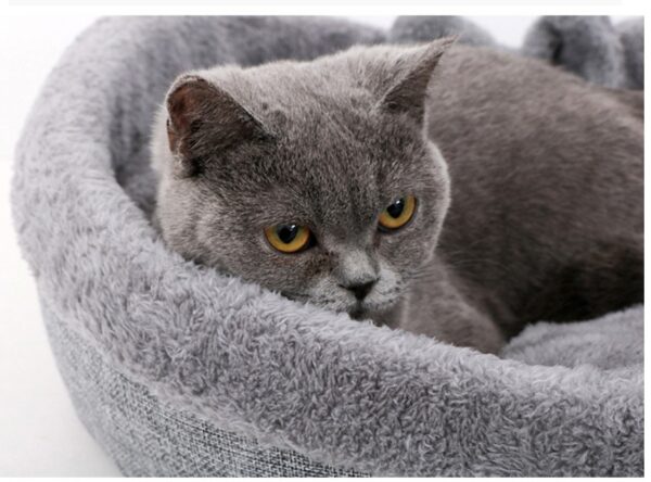 Heart Shape Soft Cozy Cat Pet Bed For Large Small Puppy Dog Cute Warm Cushion Litter Nest Basket Kennel Kitten House Accessories - Image 2