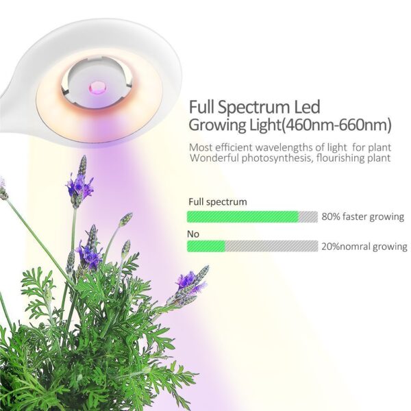 Intelligent Plant Growth Box with Table Lamp - Image 2