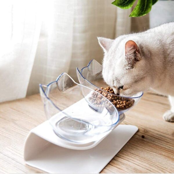 Non Slip Double Cat Bowl With Raised Stand Pet Food Cat Feeder Protect Cervical Vertebra Dog Bowl Transparent Pet Products - Image 4